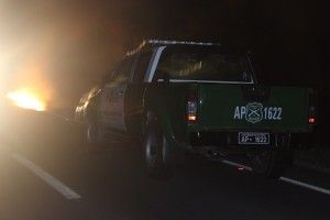 IMG_3175