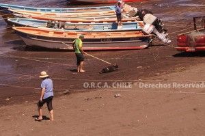 foca_07