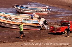 foca_08