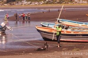 foca_10
