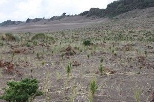 Dia de campo dunas (3)