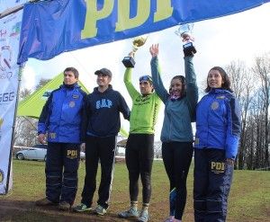 PDI 2