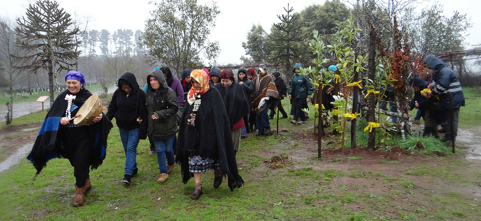 Comunidades mapuche realizan ceremonia para comenzar a construir huerta comunitaria