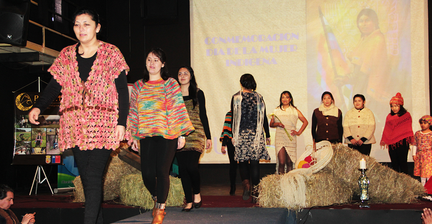 Singular celebración del Día de la Mujer Indígena en Lebu