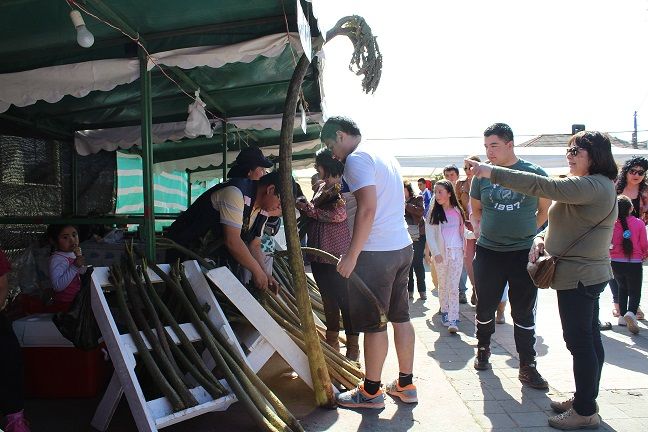 Lebu: “Fiesta de la Nalca” sorprendió a visitantes en su tercera versión