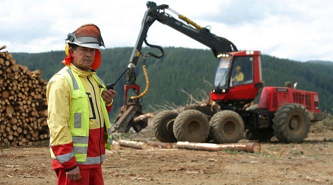 Ropa con tecnología de montaña viste a 3.000 trabajadores forestales