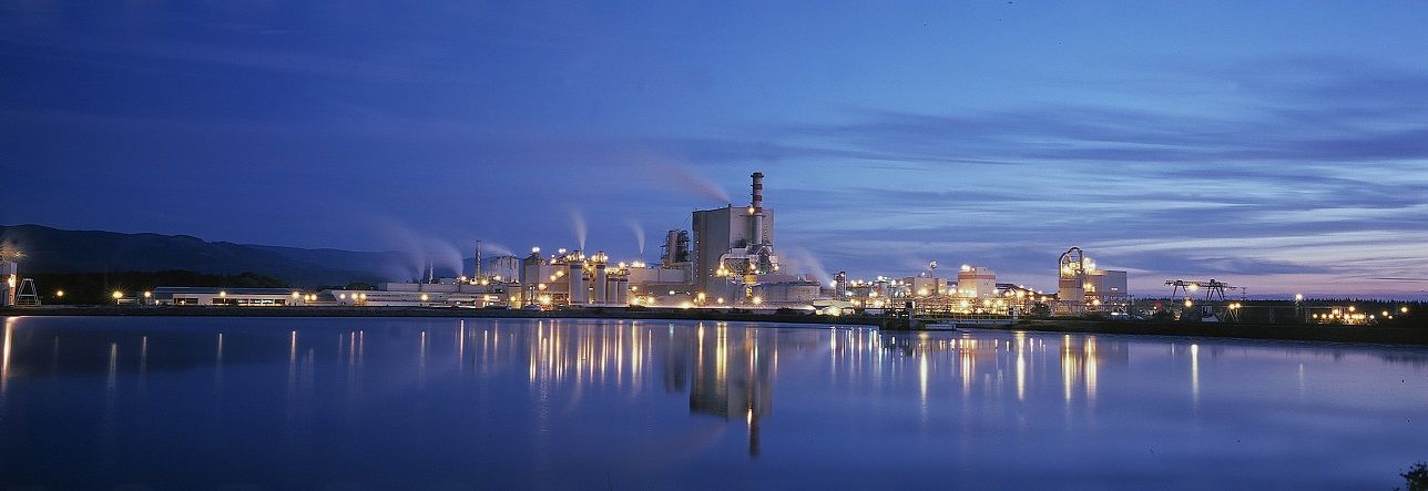 Planta Celulosa Arauco obtiene primera emisión de créditos de bonos de carbono