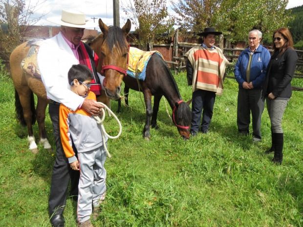 Aporte municipal fortalece exitoso Taller de Equinoterapia en Curanilahue