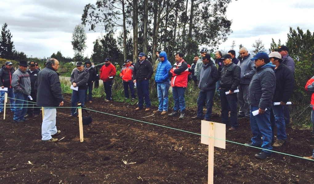 Productores de papas de la provincia de Arauco se capacitan en manejos técnicos