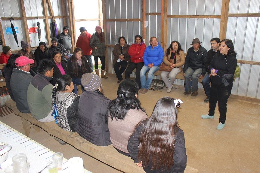 Comunidades indígenas de Tirúa aprenden a comercializar sus hortalizas como parte de proyecto agroecológico CONADI-INIA