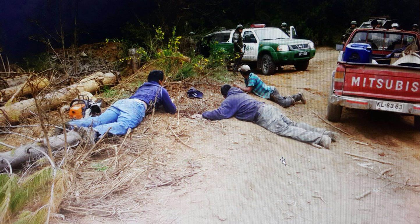 Tres detenidos por hurto de madera en Cañete tras procedimiento que incluyó enfrentamiento a tiros con Carabineros