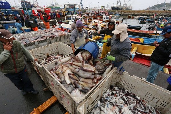 En masiva movilización pescadores de Lebu piden derogar Ley de Pesca