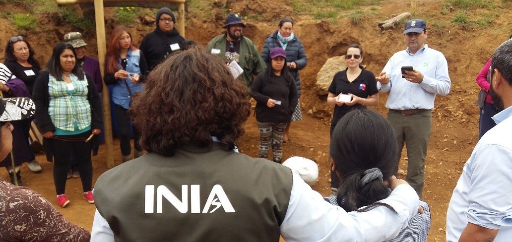 La Biodiversidad Agrícola fue protagonista de una nueva cita entre profesionales de Inia y los agricultores indígenas de Tirúa