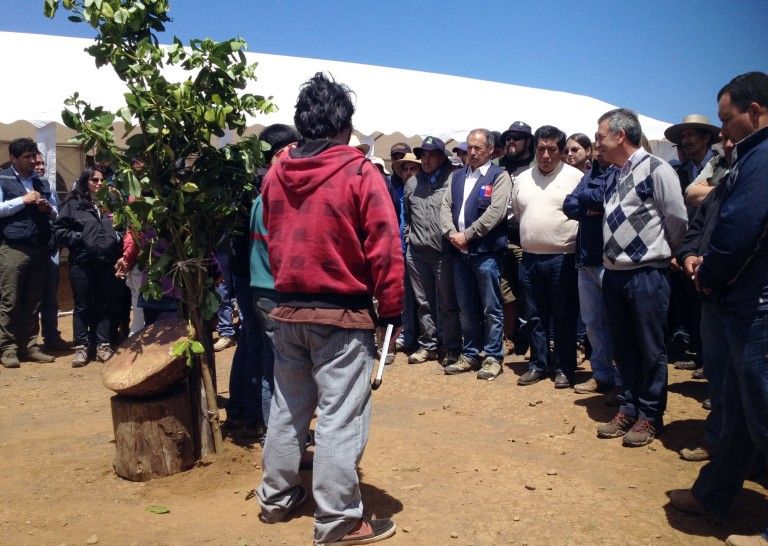 Seremi de Agricultura celebró avances agroecológicos en comunidades mapuches de Tirúa que son parte de innovador proyecto INIA – CONADI