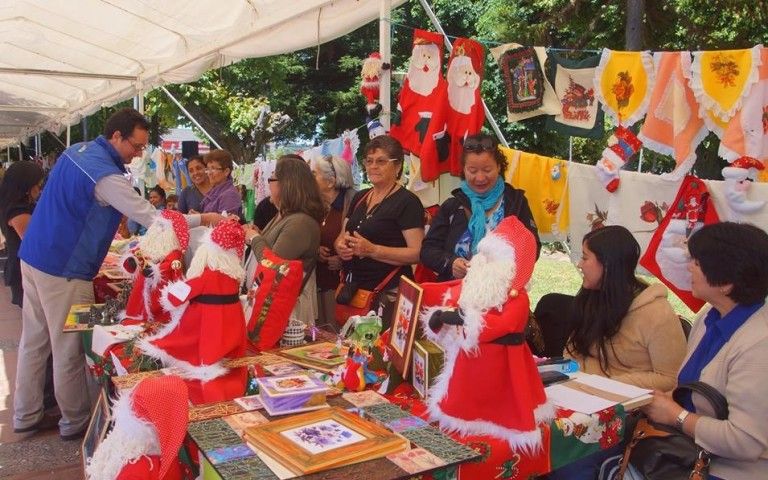 50 agrupaciónes se lucieron en la Expo Mujeres Araucanas