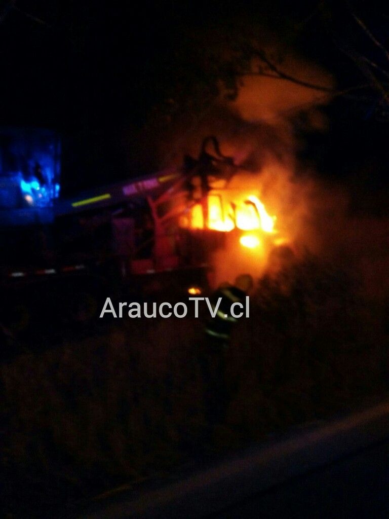 Doble atentado incendiario en Contulmo, desconocidos quemaron 2 camiones y dejaron panfletos.