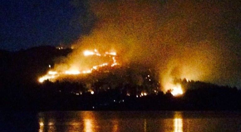 Incendios forestales caen a la mitad en la Región del Biobío