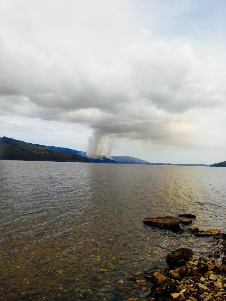Ministerio Público investiga intencionalidad en incendio que afectó fundo forestal Lanalhue
