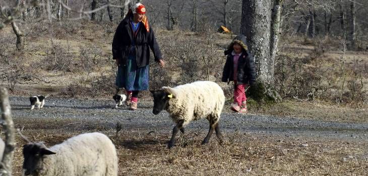 Conadi entregó derechos reales de uso y goce a familias indígenas de la provincia de Arauco