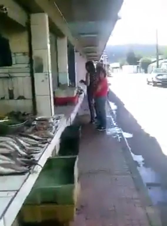 Video denuncia deja el descubierto plaga de ratones en feria de productos del mar en Curanilahue