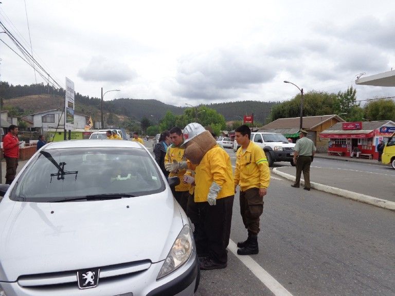 Conaf da a conocer acciones preventivas para evitar incendios forestal en la Provincia de Arauco