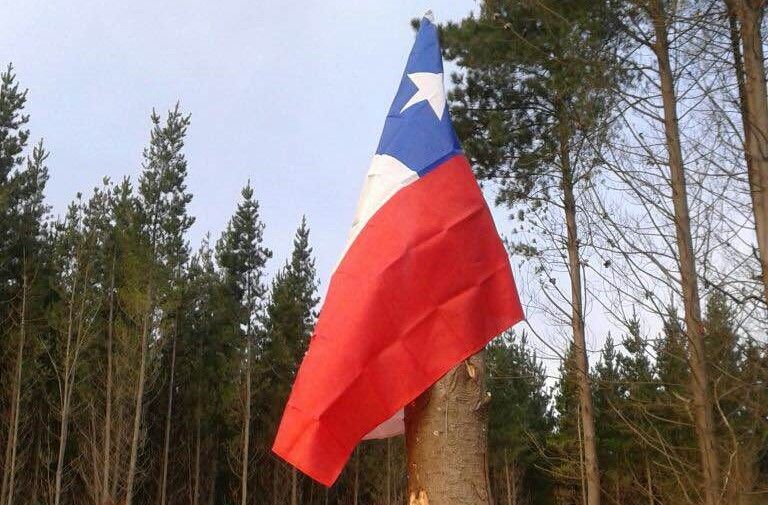 En Curanilahue 36 familias se tomaron terreno de empresa forestal, acusan no tener un lugar donde vivir