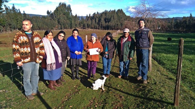 Capacitaciones ovinas de INIA fortalecen conocimientos en productores de Tirúa frente a problemáticas climáticas y de crianza animal