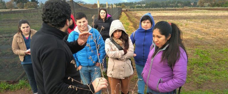 Estudiantes del Instituto Técnico de la UCSC visitaron instalaciones del CTTE Arauco Sustentable conociendo el trabajo desarrollado por los investigadores