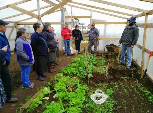Investigadores INIA capacitaron a horticultoras de Tirúa en producción de compost y bokashi