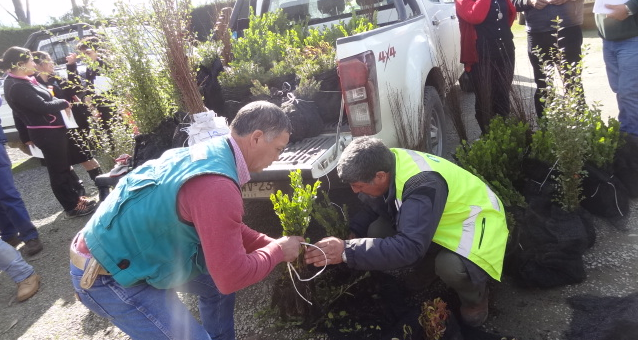 Campesinos de Curanilahue recibieron  dos mil árboles nativos para reforestación