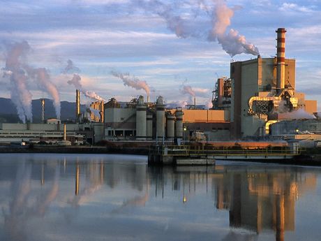 Tercer Tribunal Ambiental rechaza reclamación de comunidades indígenas contra proyecto MAPA en Región del Biobío