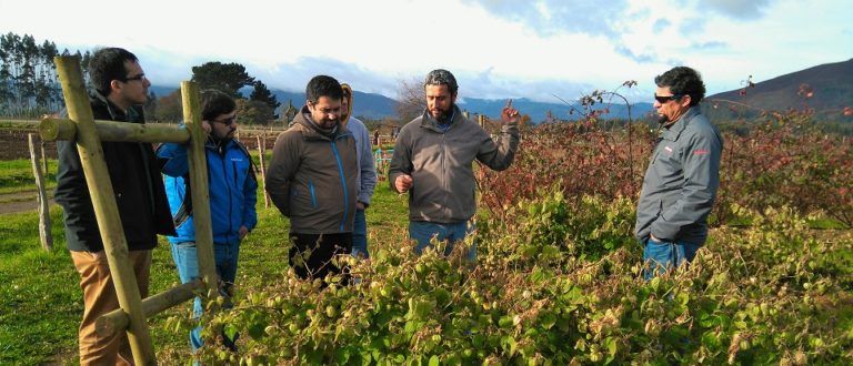 Estudiantes del I.P. Santo Tomas  buscan formar alianza con investigadores agropecuarios del INIA