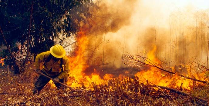 CONAF suspende uso del fuego para quemas agrícolas y forestales en toda la Región del Biobío