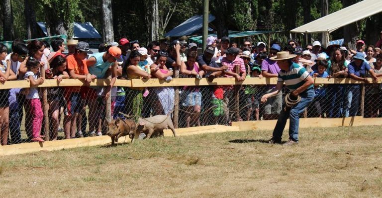 “Cantar Campesino de Caramávida” tiene asegurada su 3° versión