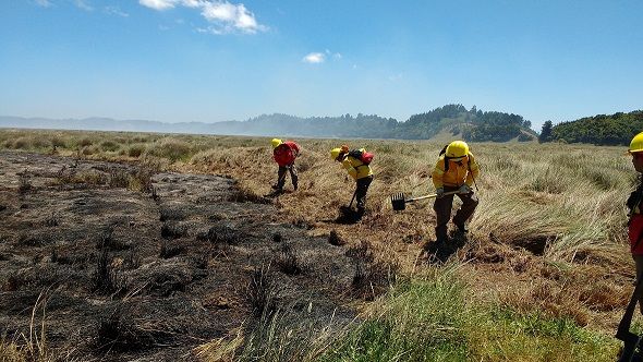 Peritos de Conaf investigan causas de  incendio que afecta al humedal Tubul Raqui