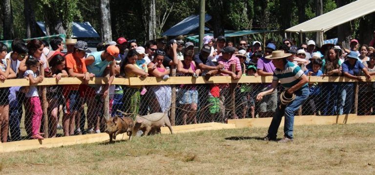 IMPERDIBLE FIESTA COSTUMBRISTA SE VIVIRÁ ESTE FIN DE SEMANA EN CARAMÁVIDA