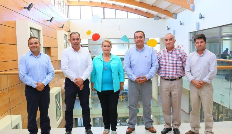 Declaración Pública Arauco 7 sobre hechos de violencia en la provincia