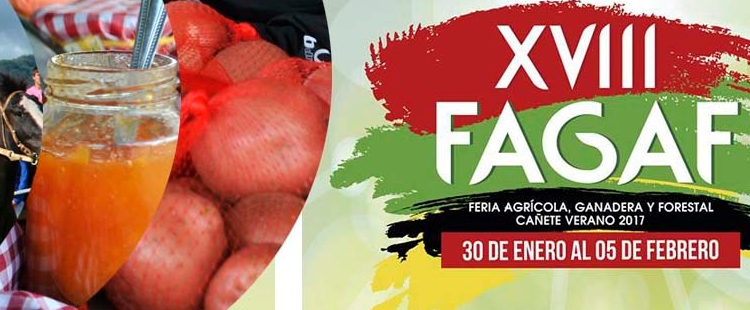HOY COMIENZA LA FAGAF, LA FERIA MÁS GRANDE Y EXTENSA DEL SUR DE CHILE
