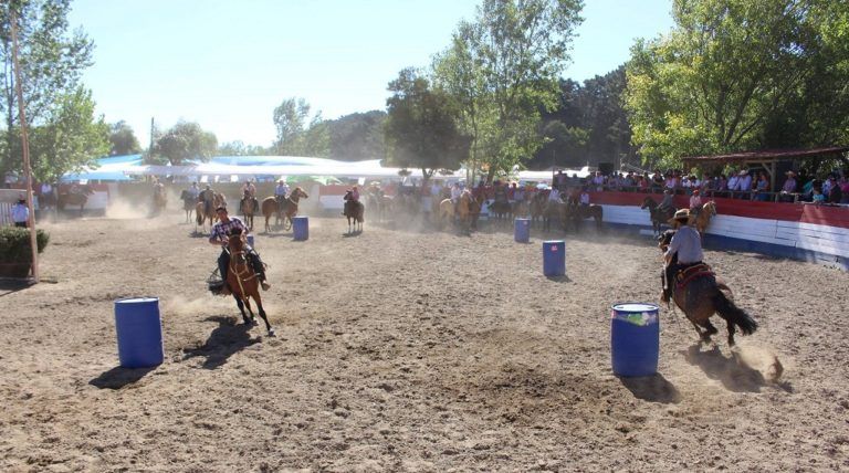 Feria Agropecuaria “Arauco Rural” dio inicio a la Fiesta Araucana 2017