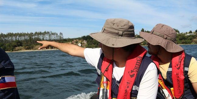 SORPRENDENTE ENCUENTRO CON LOBO MARINO EN EL LAGO LANALHUE