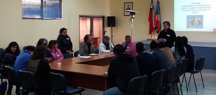 Algueros recibirán apoyo para capacitaciones y giras tecnológicas gracias al Programa de Zona de Rezago de Arauco