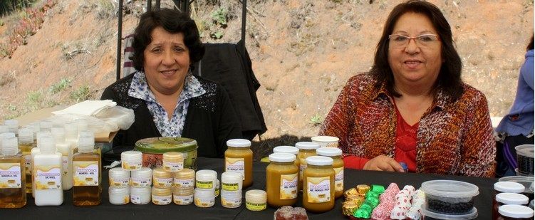 EMPRENDEDORES ABREN NUEVOS CANALES DE COMERCIALIZACIÓN VENDIENDO A TRABAJADORES DE PLANTAS DE ARAUCO