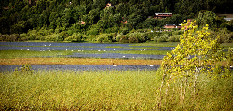 Lago Lanalhue es oficialmente declarado como Zona de Interés Turístico