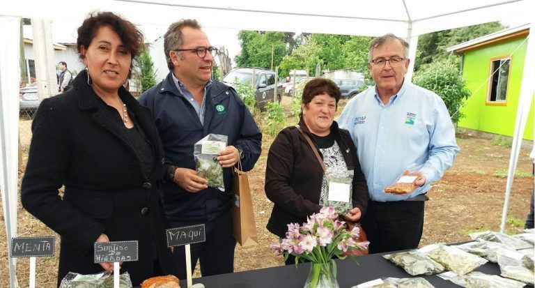 Plantas procesadoras para recolectores afectados por incendios en temporada pasada