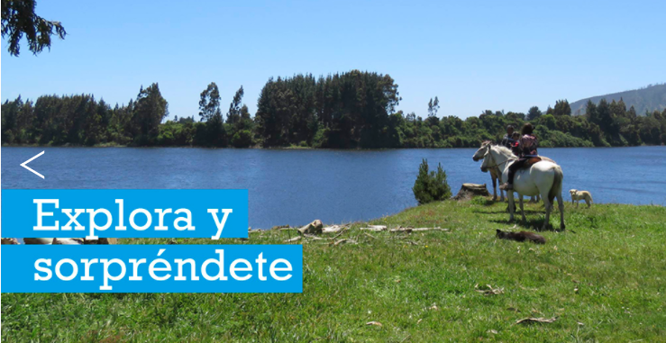 Oferta turística de la Provincia de Arauco se potencia con rescate de 22 pequeñas lagunas