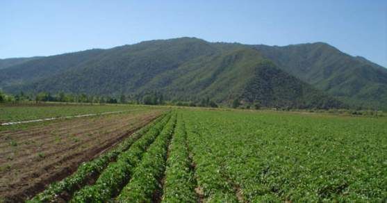 MINISTERIO DE AGRICULTURA INVITA A RENDIR PRUEBA DE SUFICIENCIA DEL PROGRAMA DE SUELOS SIRSD-S