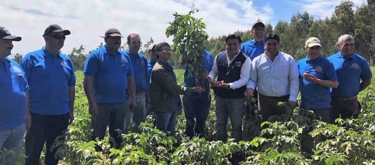 PEQUEÑOS PRODUCTORES DE TIRÚA SE ASOCIAN PARA COMERCIALIZAR SEMILLAS DE PAPAS