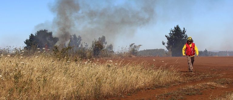CONAF recuerda que el uso del fuego para quemas agrícolas y forestales se mantiene suspendido en el Biobío