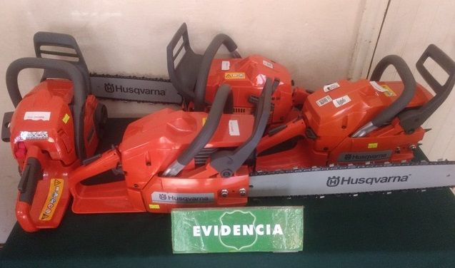 CARABINEROS DE CAÑETE DETIENE A DOS SUJETOS POR ROBO DE MOTOSIERRAS