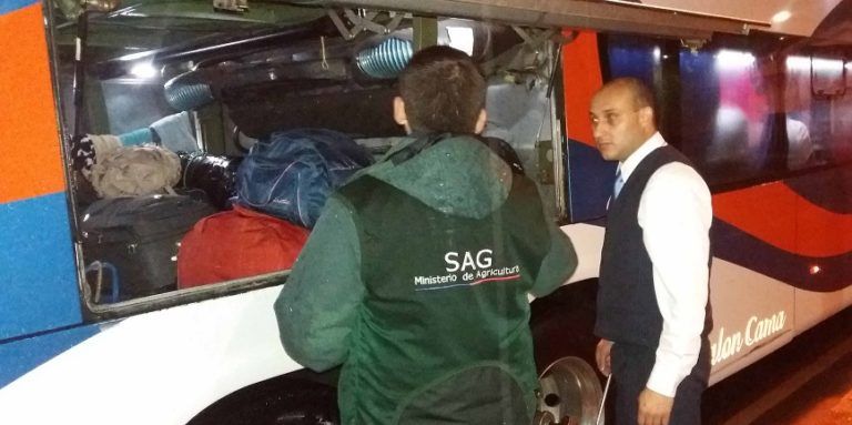 SAG fiscaliza extracción y transporte de flores de copihue
